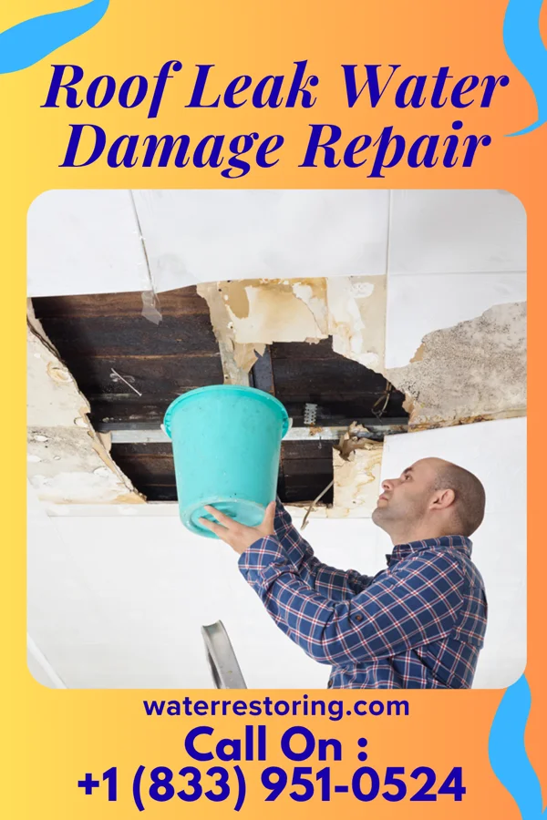 Roof Leak Water Damage Repair in Valley Falls, KS